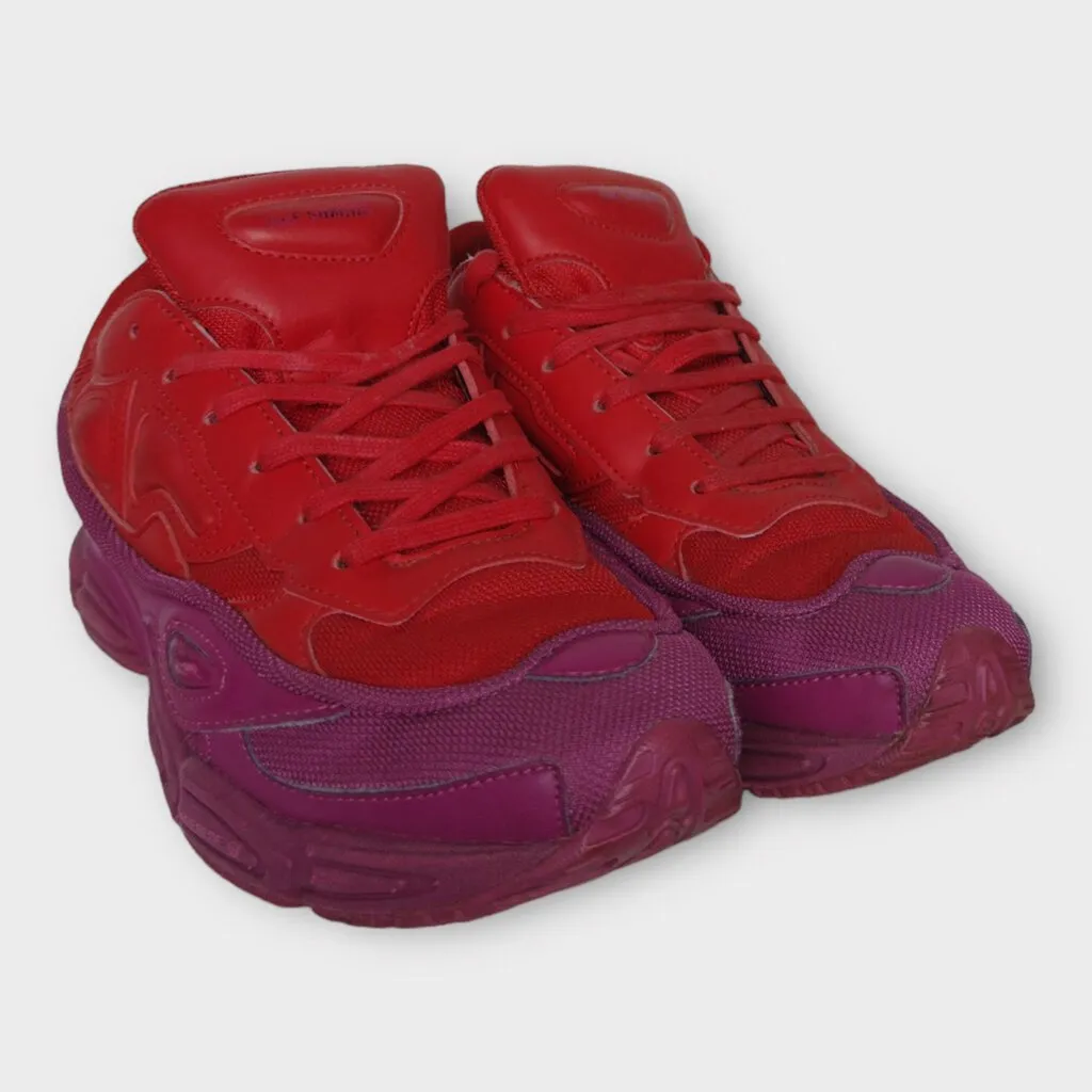 Adidas by Raf Simmons Red & Purple Ozweego Colour Block Sneaker